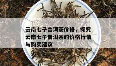 云南七子普洱茶价格，探究云南七子普洱茶的价格行情与购买建议