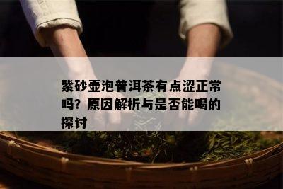 紫砂壶泡普洱茶有点涩正常吗？原因解析与是否能喝的探讨