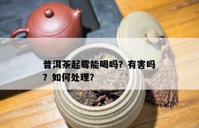 普洱茶起霉能喝吗？有害吗？如何处理？