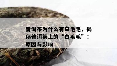 普洱茶为什么有白毛毛，揭秘普洱茶上的“白毛毛”：原因与影响