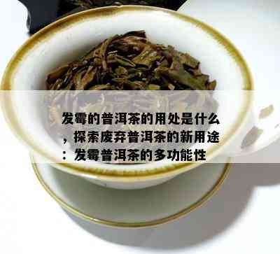 发霉的普洱茶的用处是什么，探索废弃普洱茶的新用途：发霉普洱茶的多功能性