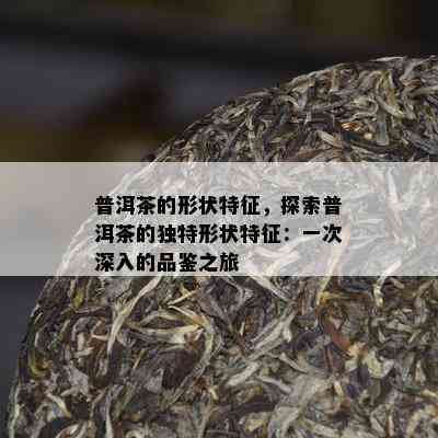 普洱茶的形状特征，探索普洱茶的独特形状特征：一次深入的品鉴之旅