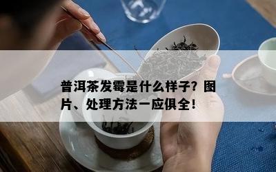 普洱茶发霉是什么样子？图片、处理方法一应俱全！