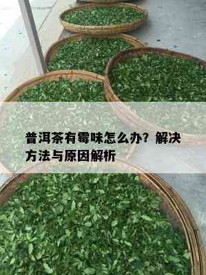 普洱茶有霉味怎么办？解决方法与原因解析