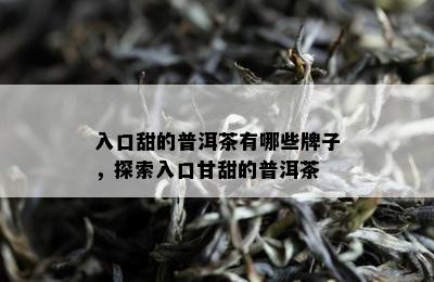 入口甜的普洱茶有哪些牌子，探索入口甘甜的普洱茶