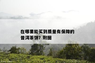 在哪里能买到质量有保障的普洱茶饼？附图