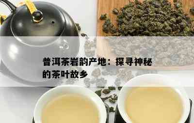 普洱茶岩韵产地：探寻神秘的茶叶故乡