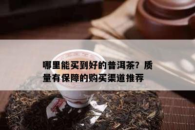 哪里能买到好的普洱茶？质量有保障的购买渠道推荐