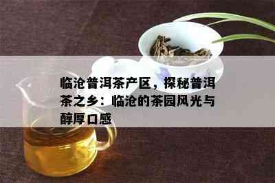 临沧普洱茶产区，探秘普洱茶之乡：临沧的茶园风光与醇厚口感