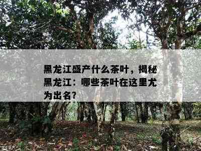 黑龙江盛产什么茶叶，揭秘黑龙江：哪些茶叶在这里尤为出名？