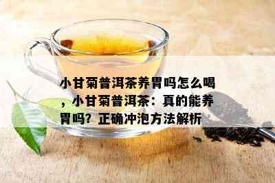 小甘菊普洱茶养胃吗怎么喝，小甘菊普洱茶：真的能养胃吗？正确冲泡方法解析