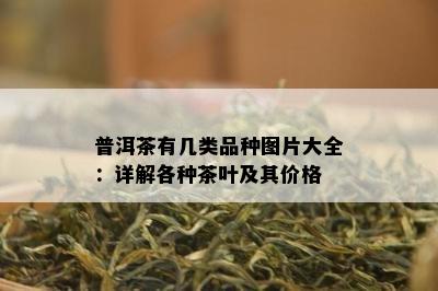 普洱茶有几类品种图片大全：详解各种茶叶及其价格