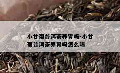 小甘菊普洱茶养胃吗-小甘菊普洱茶养胃吗怎么喝