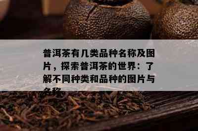 普洱茶有几类品种名称及图片，探索普洱茶的世界：了解不同种类和品种的图片与名称