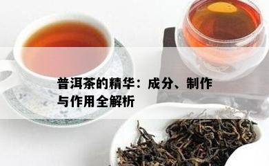 普洱茶的精华：成分、制作与作用全解析