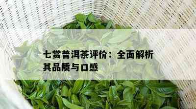 七赏普洱茶评价：全面解析其品质与口感