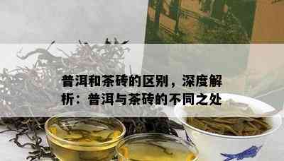 普洱和茶砖的区别，深度解析：普洱与茶砖的不同之处