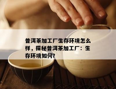 普洱茶加工厂生存环境怎么样，探秘普洱茶加工厂：生存环境如何？