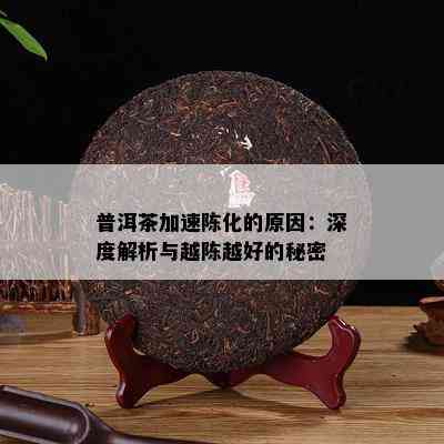 普洱茶加速陈化的原因：深度解析与越陈越好的秘密