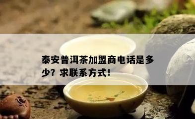 泰安普洱茶加盟商电话是多少？求联系方式！