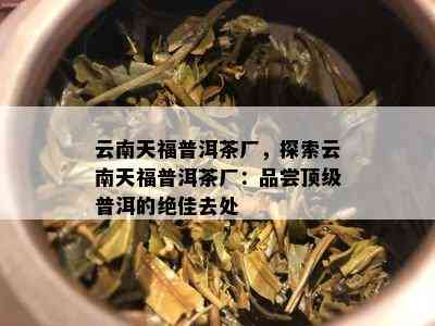 云南天福普洱茶厂，探索云南天福普洱茶厂：品尝顶级普洱的绝佳去处