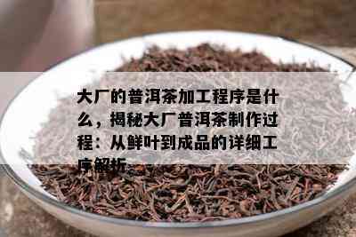 大厂的普洱茶加工程序是什么，揭秘大厂普洱茶制作过程：从鲜叶到成品的详细工序解析