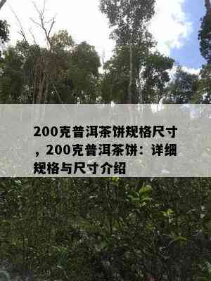 200克普洱茶饼规格尺寸，200克普洱茶饼：详细规格与尺寸介绍