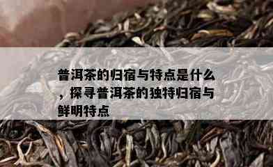 普洱茶的归宿与特点是什么，探寻普洱茶的独特归宿与鲜明特点