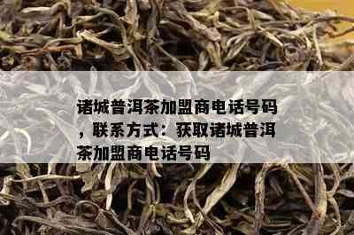 诸城普洱茶加盟商电话号码，联系方式：获取诸城普洱茶加盟商电话号码