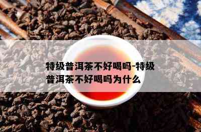 特级普洱茶不好喝吗-特级普洱茶不好喝吗为什么