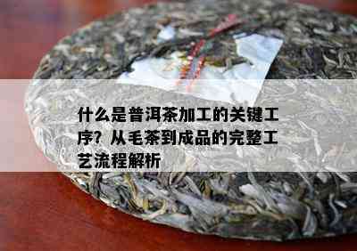 什么是普洱茶加工的关键工序？从毛茶到成品的完整工艺流程解析