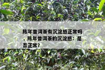 陈年普洱茶有沉淀感正常吗，陈年普洱茶的沉淀感：是否正常？