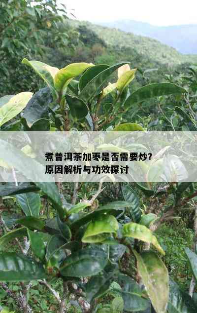 煮普洱茶加枣是否需要炒？原因解析与功效探讨