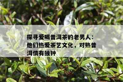 探寻爱喝普洱茶的老男人：他们热爱茶艺文化，对熟普洱情有独钟