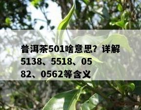 普洱茶501啥意思？详解5138、5518、0582、0562等含义