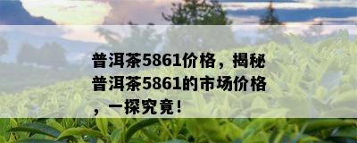 普洱茶5861价格，揭秘普洱茶5861的市场价格，一探究竟！