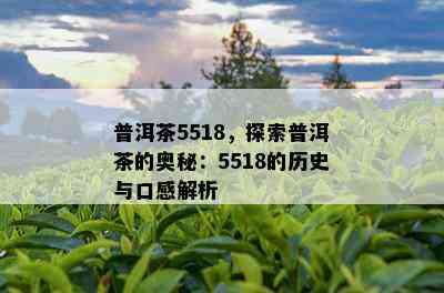 普洱茶5518，探索普洱茶的奥秘：5518的历史与口感解析