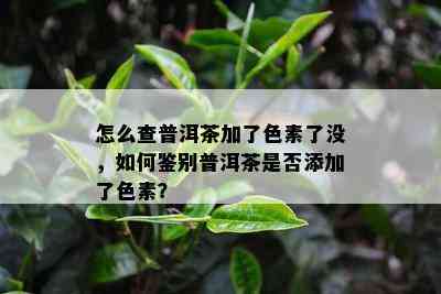 怎么查普洱茶加了色素了没，如何鉴别普洱茶是否添加了色素？