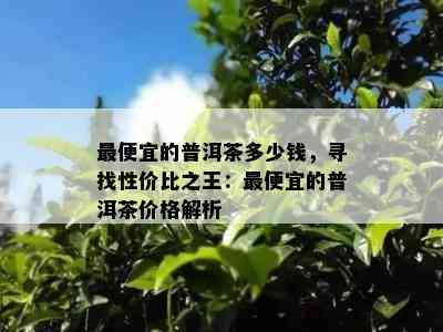 更便宜的普洱茶多少钱，寻找性价比之王：更便宜的普洱茶价格解析