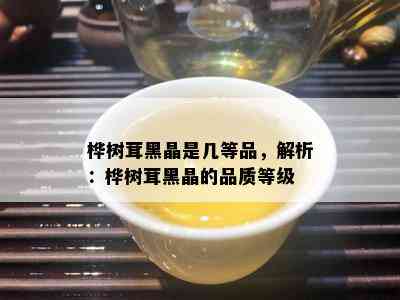 桦树茸黑晶是几等品，解析：桦树茸黑晶的品质等级