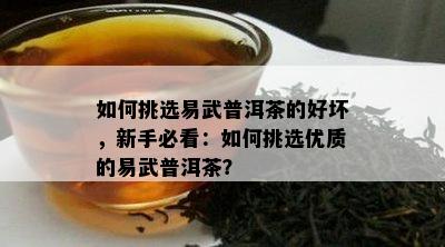 如何挑选易武普洱茶的好坏，新手必看：如何挑选优质的易武普洱茶？