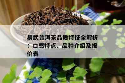 易武普洱茶品质特征全解析：口感特点、品种介绍及报价表