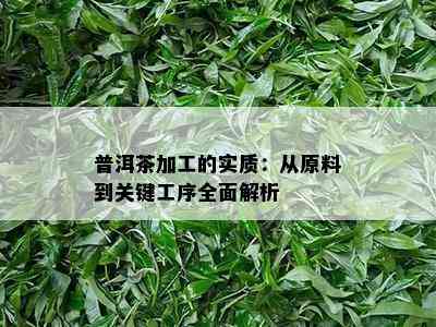 普洱茶加工的实质：从原料到关键工序全面解析