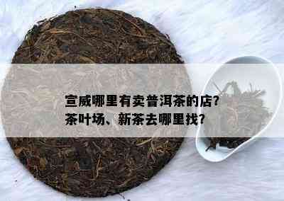 宣威哪里有卖普洱茶的店？茶叶场、新茶去哪里找？