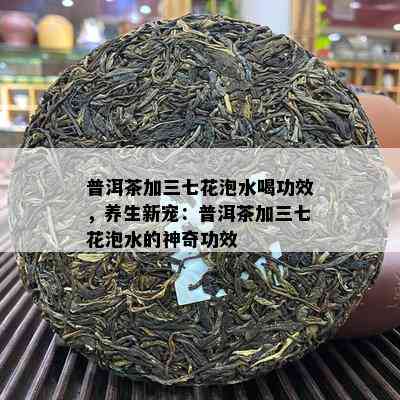 普洱茶加三七花泡水喝功效，养生新宠：普洱茶加三七花泡水的神奇功效