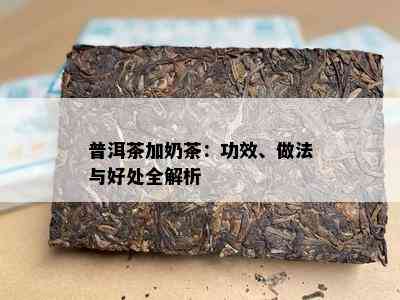 普洱茶加奶茶：功效、做法与好处全解析