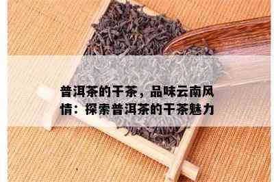 普洱茶的干茶，品味云南风情：探索普洱茶的干茶魅力