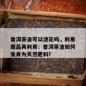 普洱茶渣可以浇花吗，利用废品再利用：普洱茶渣如何变身为天然肥料？