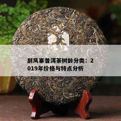 刮风寨普洱茶树龄分类：2019年价格与特点分析