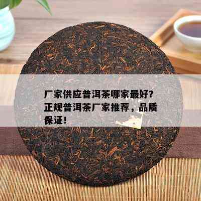 厂家供应普洱茶哪家更好？正规普洱茶厂家推荐，品质保证！